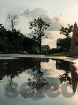 巴西世界杯的队员名单-巴西国家队征战2022年卡塔尔世界杯的队员名单，传承与创新的交响曲