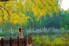 mk体育入口-MK体育入口，开拓数字化体育新境界