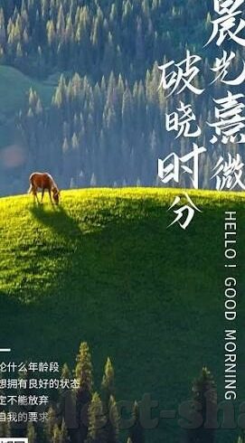 杏彩娱乐平台微信-杏彩娱乐平台微信，连接娱乐与社交的新桥梁