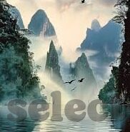 盈球足球比分网-盈球足球比分网，足球迷的实时数据乐园与赛事分析宝库